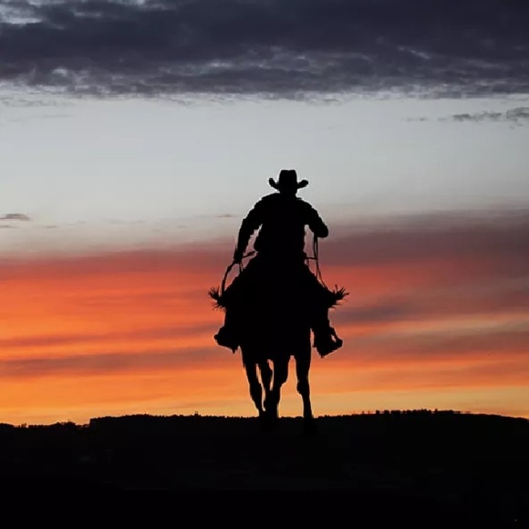 Meet your Posher, Marcey - Picture 1 of 1